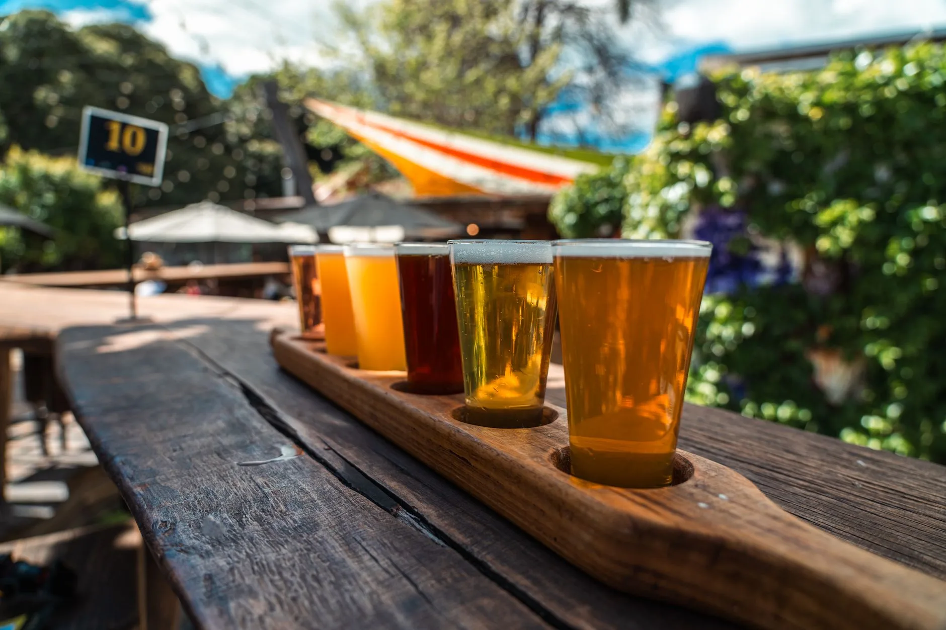 Verres de bière de microbrasserie alignés sur un comptoir