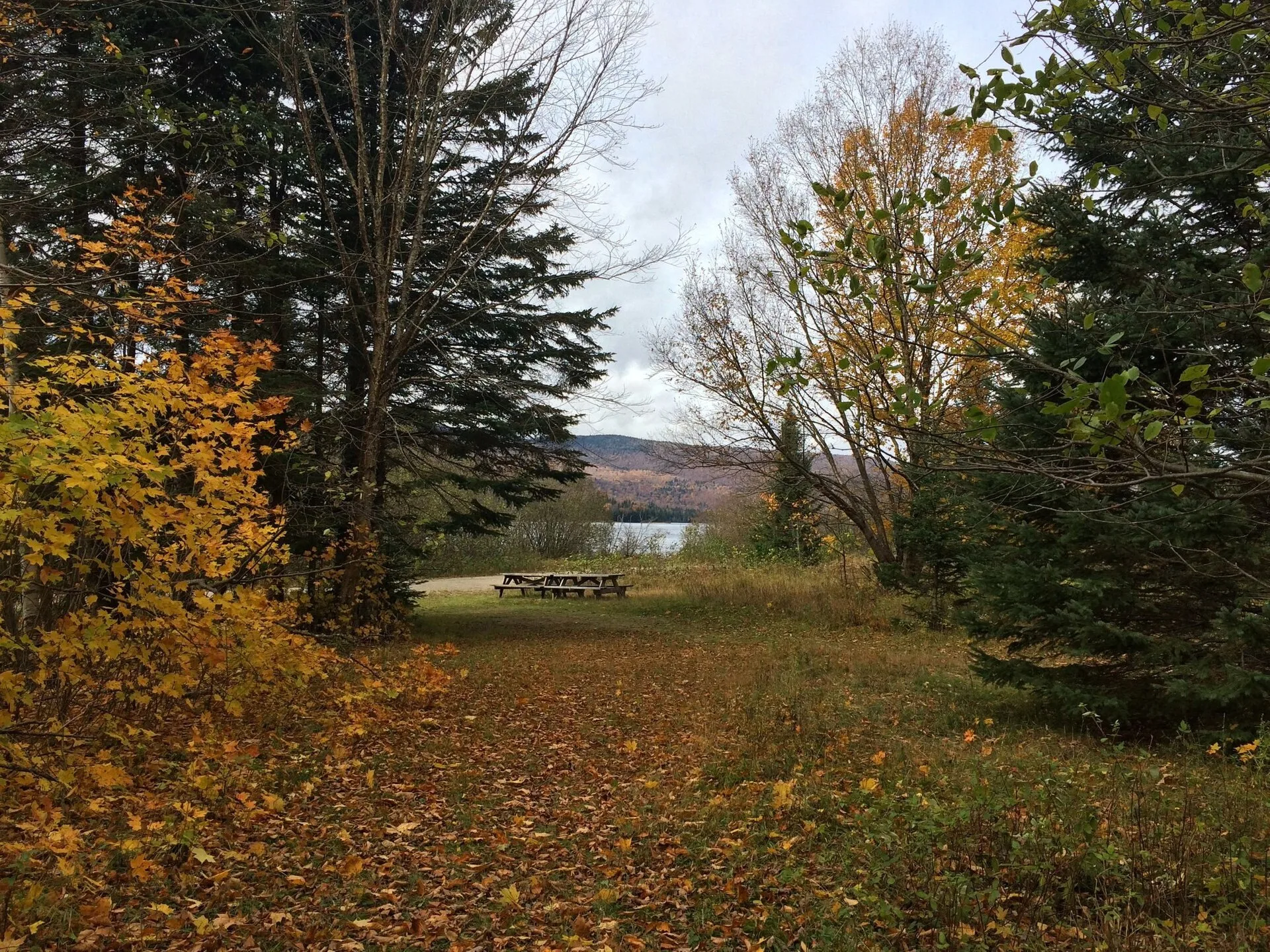 Le parc national du Mont-Tremblant : randonnée et lacs