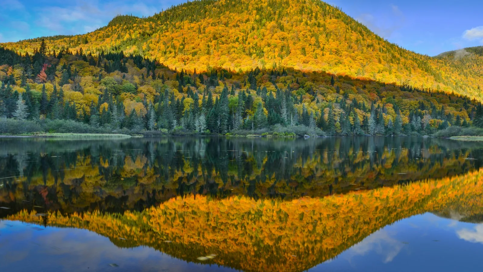 Le parc national de la Jacques-Cartier : la nature à côté de la ville de Québec